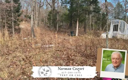 Land for Sale in Fulton County, Arkansas Near Spring River