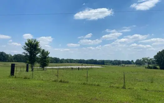 Cattle Farm for Sale in Tn, 55 Acres+/-, Fenced Pasture