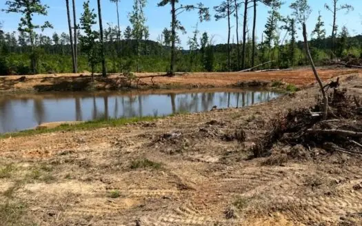 Land for Sale with Pond Lincoln County Ruth, Mississippi