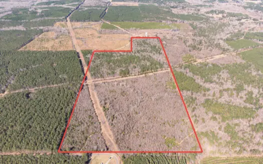 Woodville 101 – SW Lincoln Parish Timber Tract