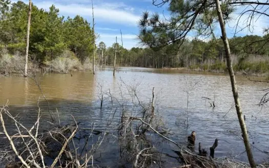 Cass County Texas Recreational Getaway For Sale