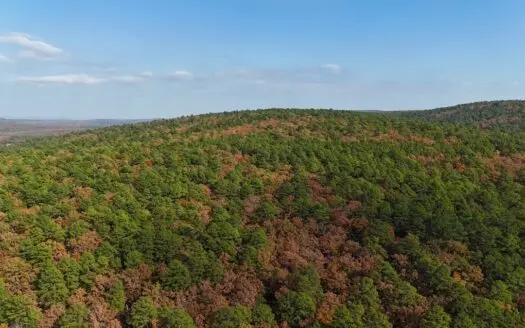 Land for Sale Southeast Oklahoma- Latimer County – Oklahoma