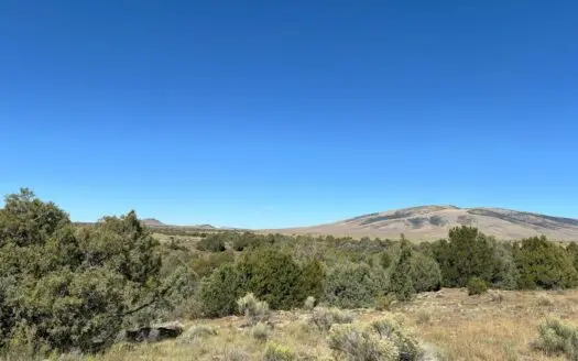 Northern New Mexico land for sale in Tres Pierdas