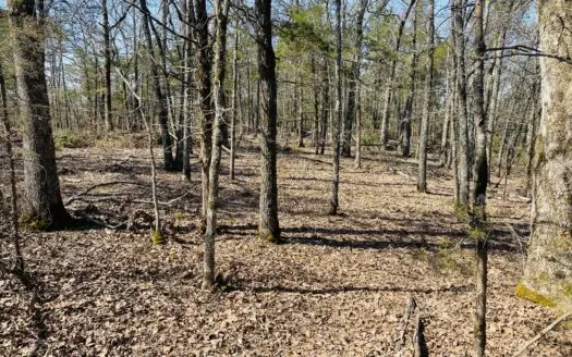 Rural Riverfront Land With Great Views For Sale In Arkansas