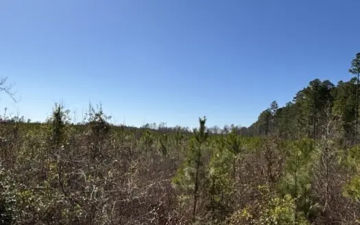 Spout Springs Recreational Land for Sale