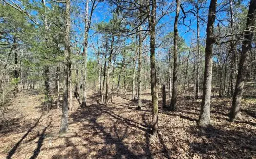 3-Acre Cabin Site Adjoining Ouachita National Forest