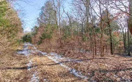 Land For Sale in Williford, Arkansas