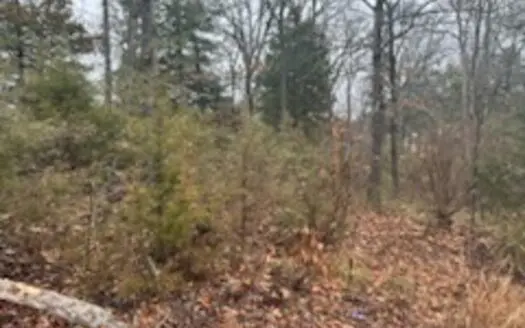 2 Adjoining Residential Lots in Merriam Woods near Branson Missouri