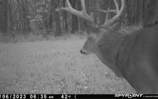 79 Acre Hunting Haven outside of Griffin, IN