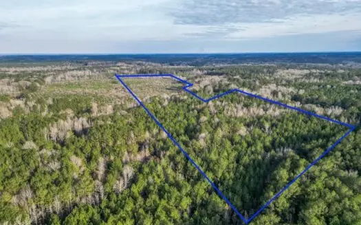 Land for Sale in Amite County, MS