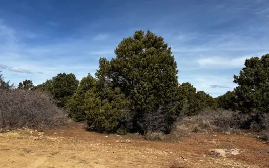 Land For Sale, Colorado Hunting or Recreation Property