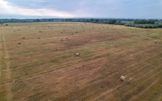 Whitetail Meadows