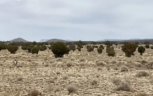 Arizona Ranch Land For Sale Near Route 66