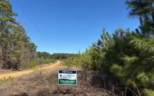 County Rd 201 Recreational Land for Sale