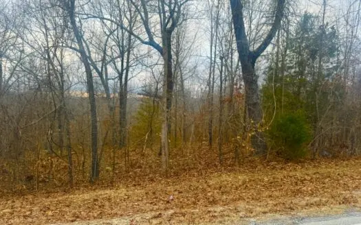 Lot For Sale In North Central Arkansas