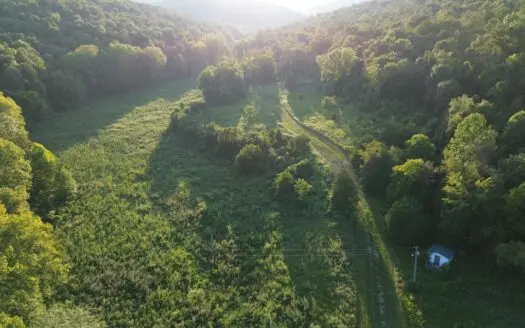 Hunting Land in Monticello, Kentucky
