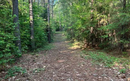 Jackson Parish Timber Tract 3 for Sale