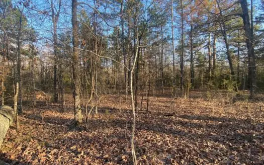 Bowie County Texas Hunters Haven