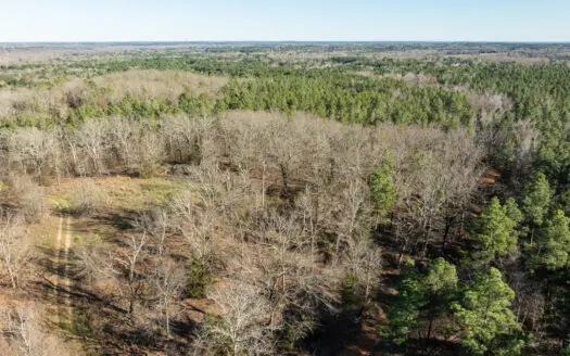 East TX Timber Hunting Land for Sale Ben Wheeler TX Van Zandt Co