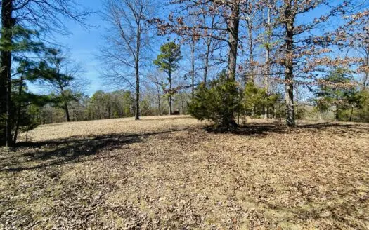 Land For Sale In Calico Rock, Arkansas