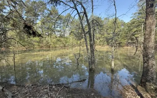 Hunting Land And Timberland Property For Sale In Arkansas