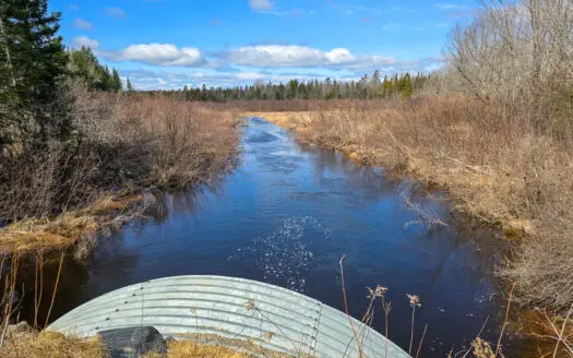 4.76 Acre Lot with Streamfront