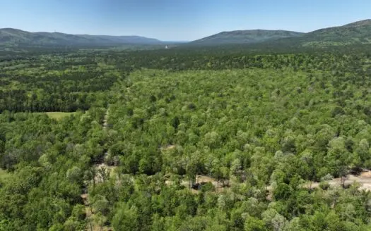 A Rare Opportunity to Own Property in the National Forest