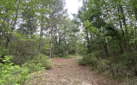 Marion County Hunting Land with Timber Potential
