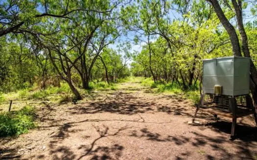 11.96 Acres of Texas Paradise Near Lake Mathis- Live Oak County!!