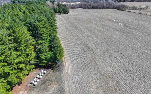 85 Acres For Sale in Waupaca County