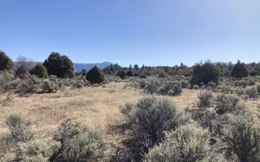 58+/- Acres For Sale Near Ensenada and Chama New Mexico