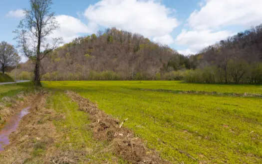 Timeless Tennessee Farm – 66 Acres at Absolute Auction Kyles Ford