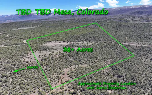 Colorado Mountain Vacant Land For Sale Bordering BLM Mesa County