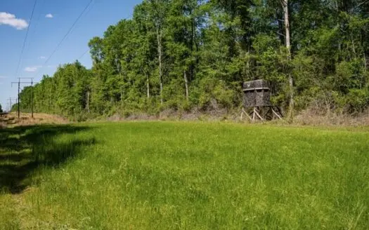 Deer and Turkey Property in Pike County, MS