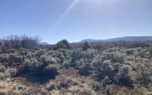 48+/- Acres For Sale Near Ensenada and Chama New Mexico