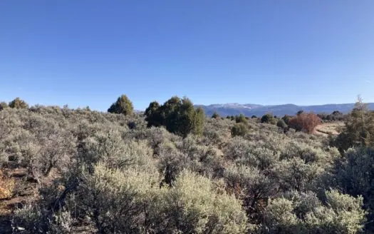 66+/- Acres For Sale Near Ensenada and Chama New Mexico