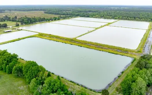 295-Acre Catfish Reserve & Recreational Property Clarksville TX