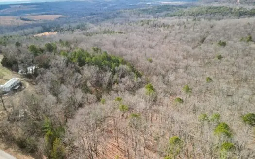 Peaceful and Secluded Land For Sale in the Ozarks