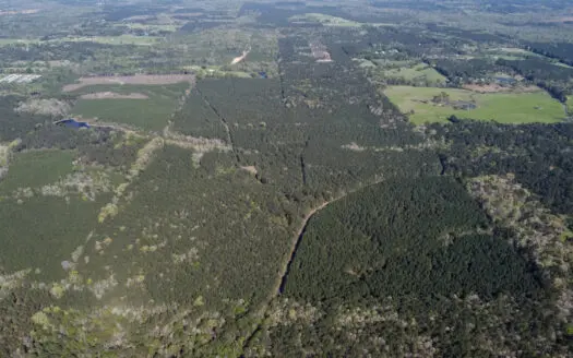 Longstraw 53 (Tract 2) Jackson Parish Timberland