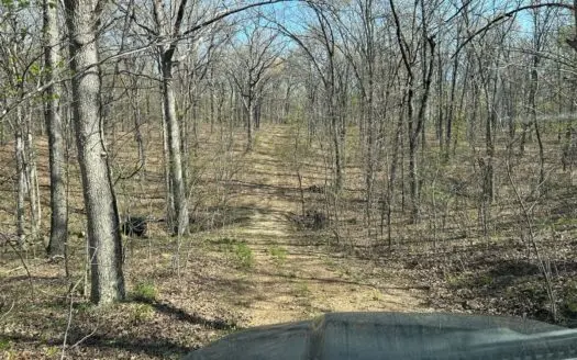 20 acres (+/-) of pristine oak woods near Osceola, Missouri