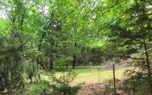 Wooded 6 Acres For Sale in Clarksville TX, Red River County TX