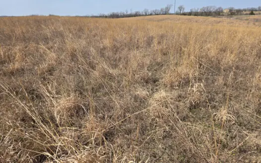 Recreational & Income Property