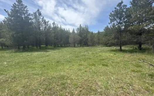 Building Lot for Sale- Land in Orofino, Idaho