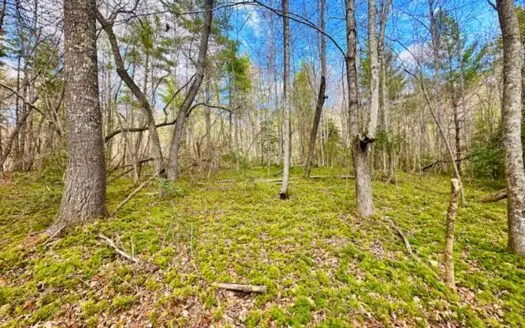 Great Hunting & Recreational Land