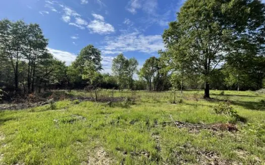 120 Acre Sportsman Paradise Choctaw County OK