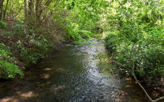 19.27 Acres For Sale in Meadows of Dan, Virginia
