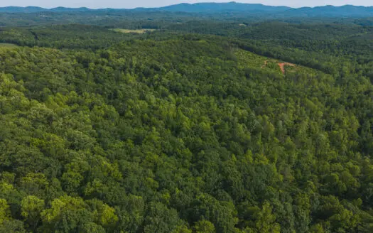 Wooded Land for Sale in Woolwine VA