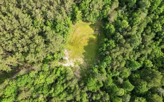 586 Hunting Land in the Catahoula Hills with Creek