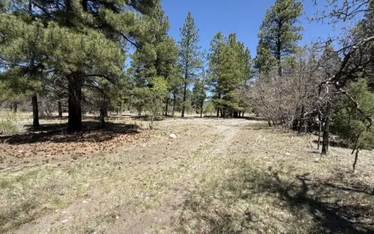 Land for sale in Northern New Mexico with no CCR’s and River