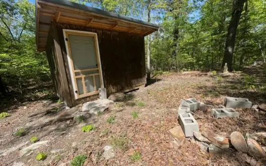 Little Hunting Cabin In The Big Woods